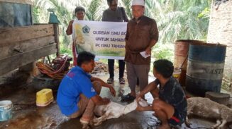 PW ISNU Aceh Salurkan Hewan Kurban ke Tiga Kabupaten/Kota