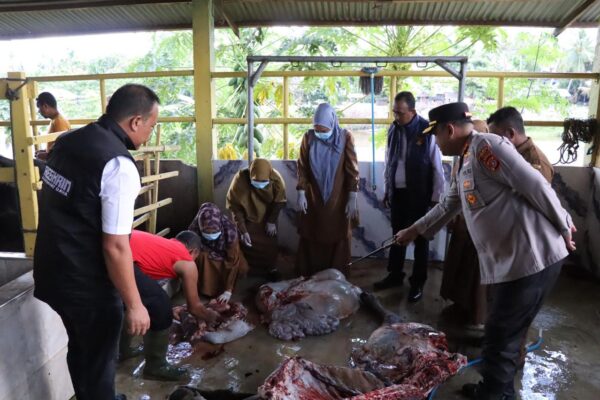 Cek Mutu Daging, Kapolres Abdya Pastikan Daging Meugang Aman dan Layak Konsumsi