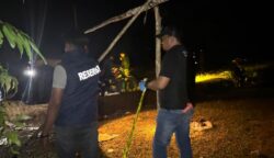 Tiga Penambang Tewas Tertimbun Longsor di Area Tambang Tradisional di Aceh Jaya
