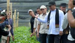 Dampingi Mentan Tinjau Benih Kopi Gayo, Dek Fadh Perkuat Sinergi Bangun Pertanian Aceh