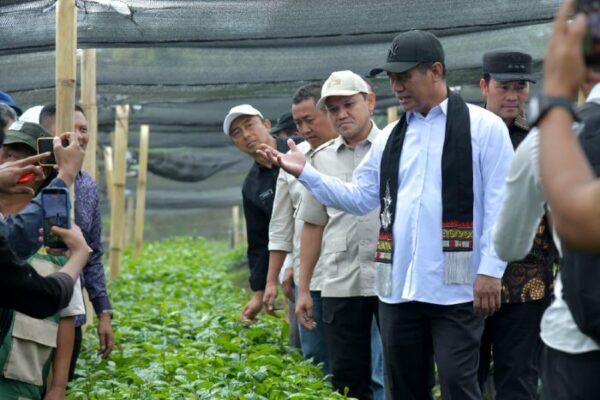 Dampingi Mentan Tinjau Benih Kopi Gayo, Dek Fadh Perkuat Sinergi Bangun Pertanian Aceh