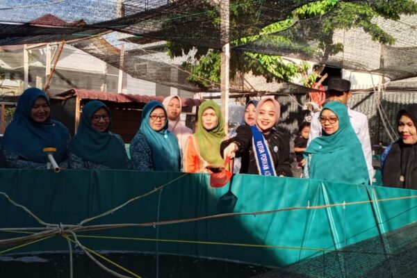 Budidaya Lele Geulumpang Payong Jadi Contoh Penguatan Ketahanan Pangan di Abdya