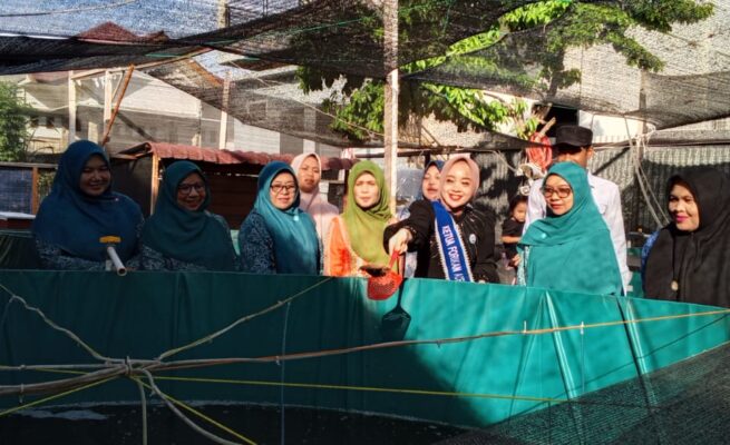 Budidaya Lele Geulumpang Payong Jadi Contoh Penguatan Ketahanan Pangan di Abdya