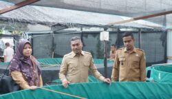 Bupati Safaruddin Minta Gampong Berinovasi, Potensi Lokal Harus Jadi Penggerak Ekonomi