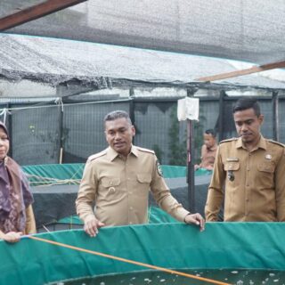 Bupati Safaruddin Minta Gampong Berinovasi, Potensi Lokal Harus Jadi Penggerak Ekonomi
