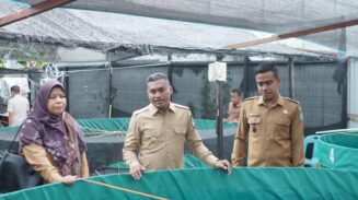 Bupati Safaruddin Minta Gampong Berinovasi, Potensi Lokal Harus Jadi Penggerak Ekonomi